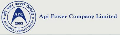 Api Power Company Ltd. logo